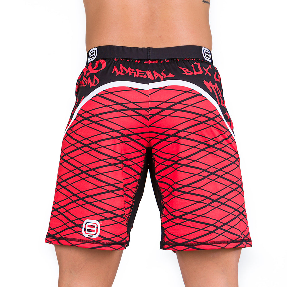 TADD - ELASTAN PANTALONES