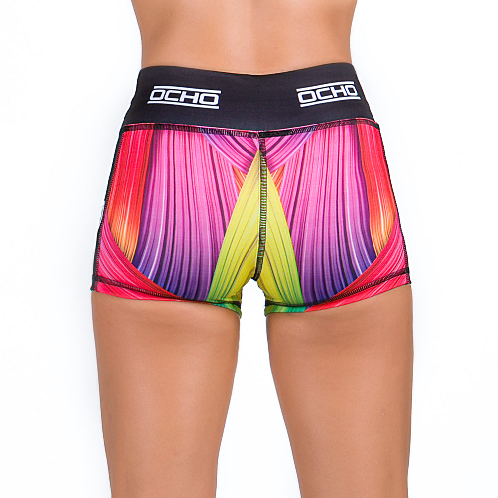 MUSCLES - SHORTS